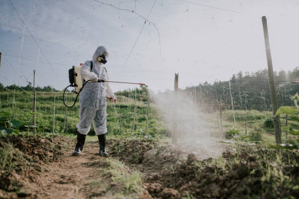 Best Best Pest Control Companies  in Ruidoso, NM