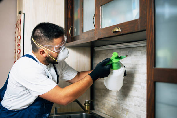 Best Mosquito Control Services  in Ruidoso, NM